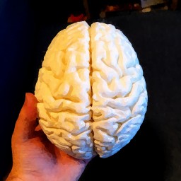 I 3D Printed My Brain